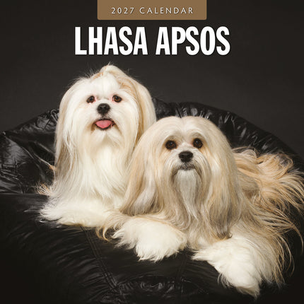 Lhasa Apsos 2027 square wall calendar - front cover