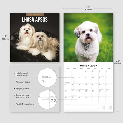 Lhasa Apsos 2027 square wall calendar - product specifications