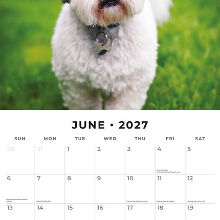 Lhasa Apsos 2027 square wall calendar - monthly calendar spread