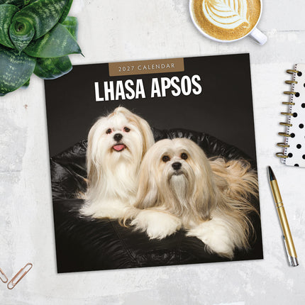 Lhasa Apsos 2027 square wall calendar - image detail