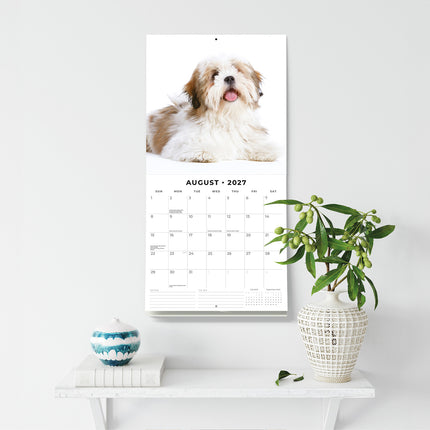 Lhasa Apsos 2027 square wall calendar - wall display