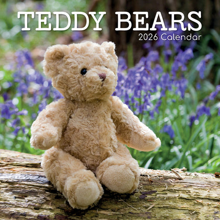 Teddy Bears - 2026 Square Wall Calendar 16 Month Planner Christmas New Year Gift
