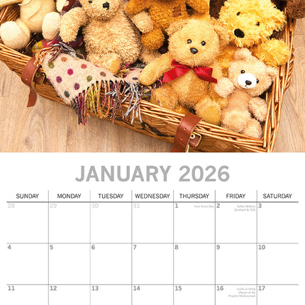 Teddy Bears - 2026 Square Wall Calendar 16 Month Planner Christmas New Year Gift