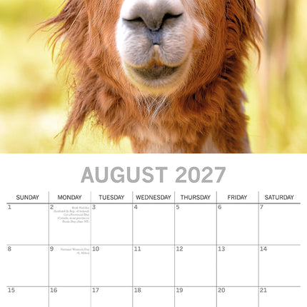 Llamas 2027 Premium Square Wall Calendar August sample page