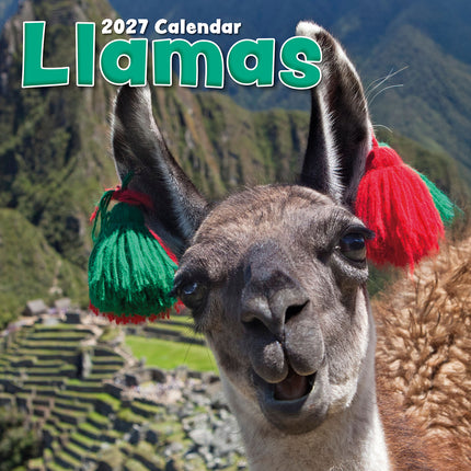 Llamas 2027 Premium Square Wall Calendar cover