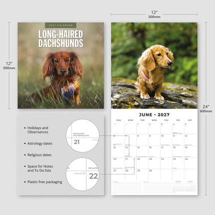 Long-haired Dachshunds 2027 square wall calendar - product specifications