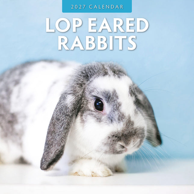 Long Eared Rabbits 2027 square wall calendar - front cover