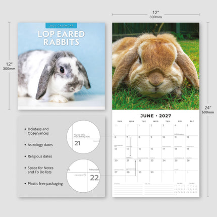 Long Eared Rabbits 2027 square wall calendar - product specifications