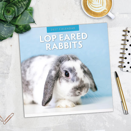 Long Eared Rabbits 2027 square wall calendar - image detail