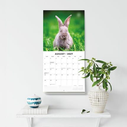Long Eared Rabbits 2027 square wall calendar - wall display