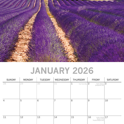 Tranquility - 2026 Square Wall Calendar 16 Month Planner Christmas New Year Gift