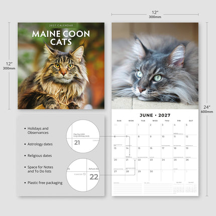 Maine Coon Cats 2027 square wall calendar - product specifications
