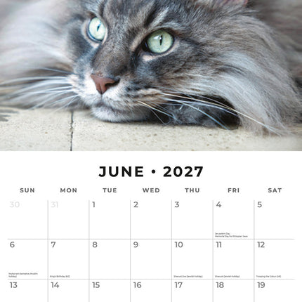 Maine Coon Cats 2027 square wall calendar - monthly calendar spread