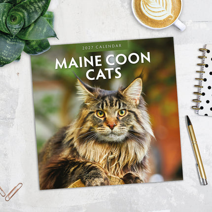 Maine Coon Cats 2027 square wall calendar - image detail