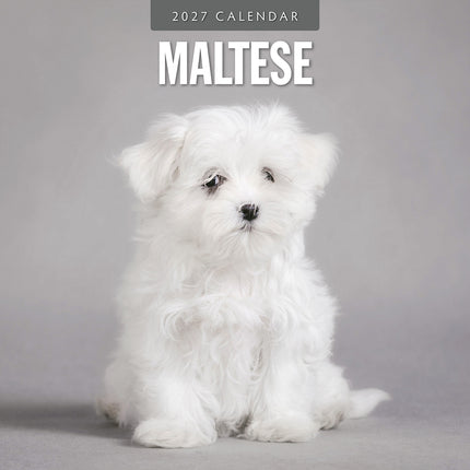 Maltese 2027 square wall calendar - front cover