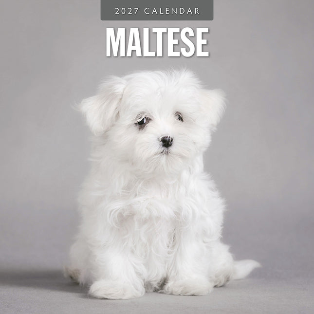 Maltese 2027 square wall calendar - front cover