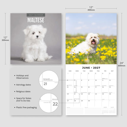 Maltese 2027 square wall calendar - product specifications