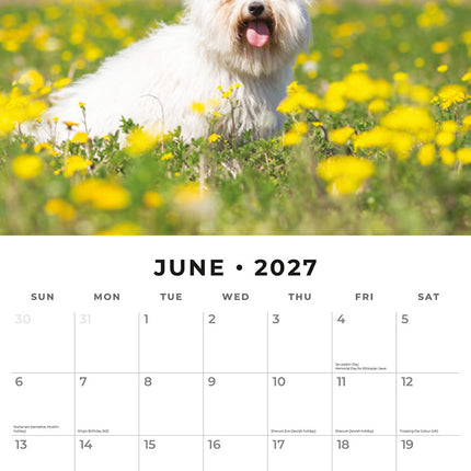 Maltese 2027 square wall calendar - monthly calendar spread