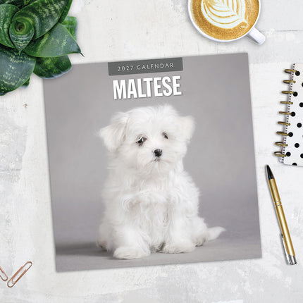 Maltese 2027 square wall calendar - image detail