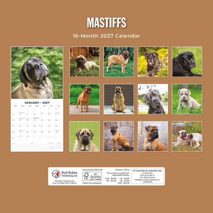 Mastiffs 2027 square wall calendar - back cover