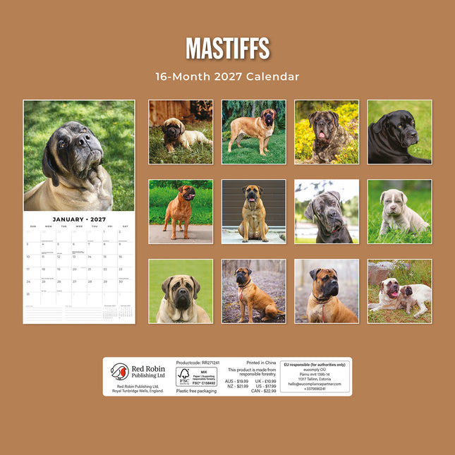 Mastiffs 2027 square wall calendar - back cover