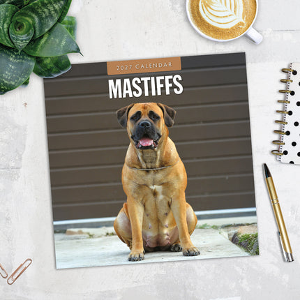 Mastiffs 2027 square wall calendar - image detail