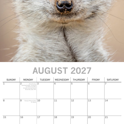 Meerkats 2027 Premium Square Wall Calendar August sample page