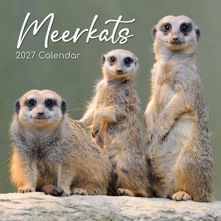 Meerkats 2027 Premium Square Wall Calendar cover