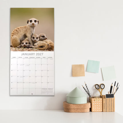 Meerkats 2027 Premium Square Wall Calendar lifestyle image