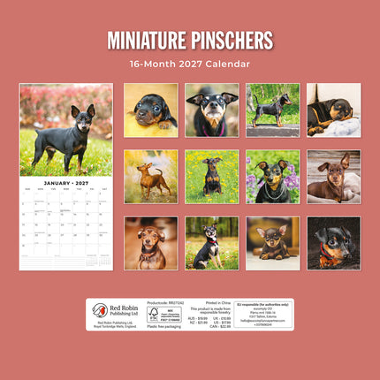 Miniature Pinschers 2027 square wall calendar - back cover
