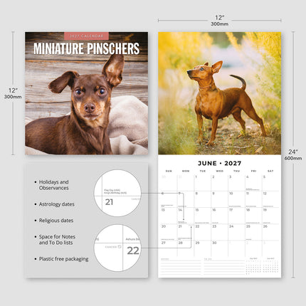 Miniature Pinschers 2027 square wall calendar - product specifications