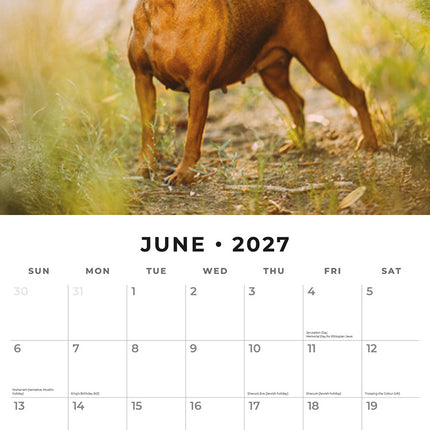 Miniature Pinschers 2027 square wall calendar - monthly calendar spread