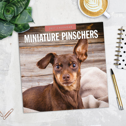 Miniature Pinschers 2027 square wall calendar - image detail