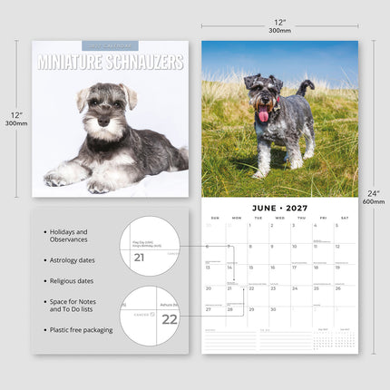 Miniature Schnauzer 2027 square wall calendar - product specifications