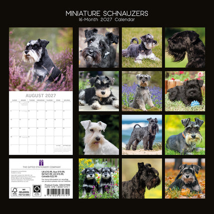 Miniature Schnauzers 2027 Premium Square Wall Calendar back cover