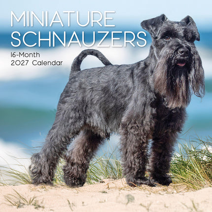 Miniature Schnauzers 2027 Premium Square Wall Calendar cover