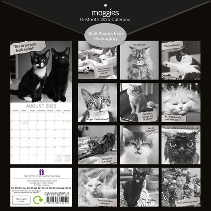 Moggies - 2025 Square Wall Calendar Pets Animals 16 Months Premium Planner Gift