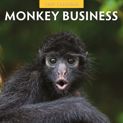 Monkey Business 2027 square wall calendar - front cover