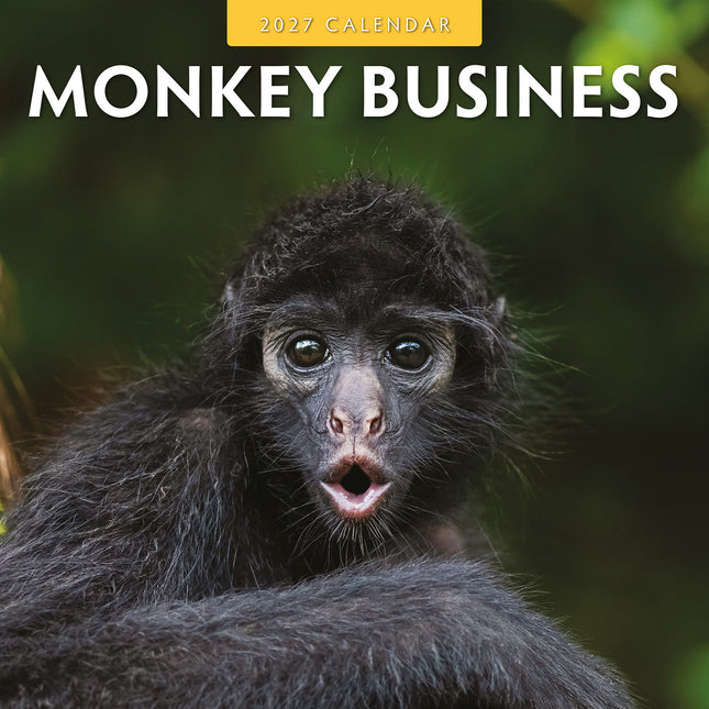 Monkey Business 2027 square wall calendar - front cover
