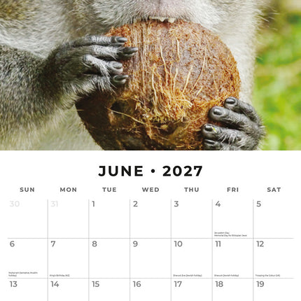 Monkey Business 2027 square wall calendar - monthly calendar spread