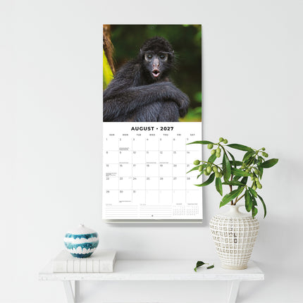 Monkey Business 2027 square wall calendar - wall display