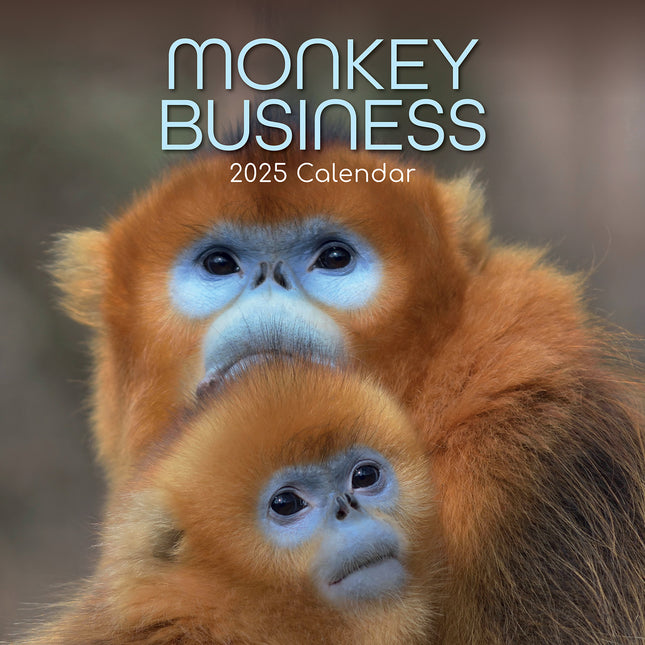 Monkey Business 2025 Square Wall Calendar Animals 16 Months Premium Planner Gift