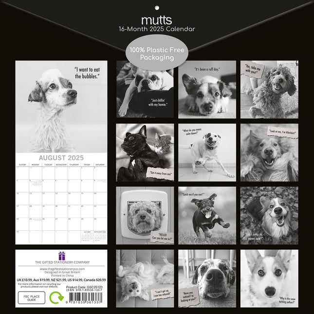 Mutts - 2025 Square Wall Calendar Pets Animals 16 Months Premium Planner Gift