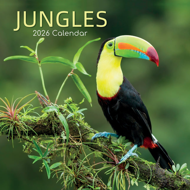 Jungles - 2026 Square Wall Calendar 16 Month World & Travel Premium Planner Gift