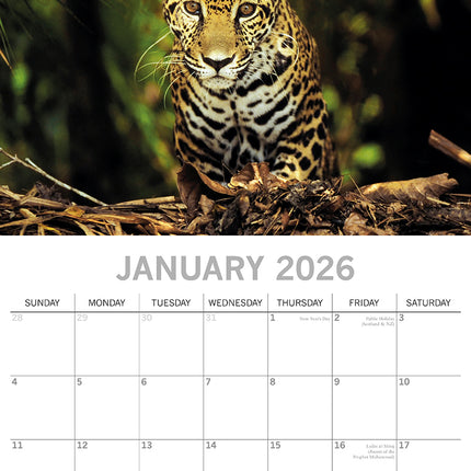 Jungles - 2026 Square Wall Calendar 16 Month World & Travel Premium Planner Gift