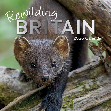 Rewilding Britain 2026 Square Wall Calendar 16 Month World & Travel Planner Gift
