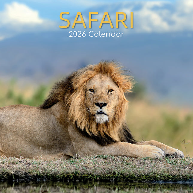 Safari - 2026 Square Wall Calendar 16 Months World & Travel Premium Planner Gift