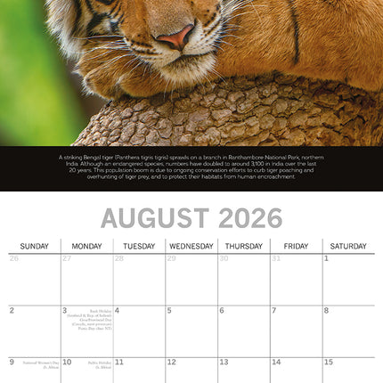 Save the Planet 2026 Square Wall Calendar 16 Months World & Travel Planner Gift