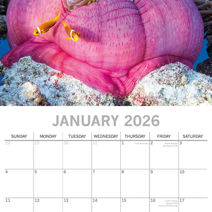Under the Sea - 2026 Square Wall Calendar 16 Months World & Travel Planner Gift