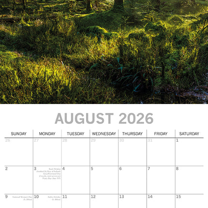 Woodland Scenes 2026 Square Wall Calendar 16 Months World & Travel Planner Gift